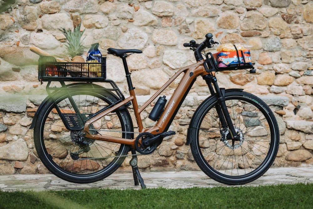 E-Bike-Trends